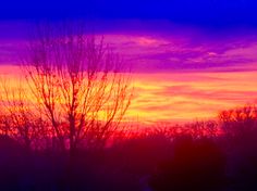 the sun is setting over some trees and bushes in front of a purple sky with red clouds