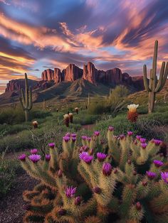 the desert is full of cacti and cactus plants with mountains in the background