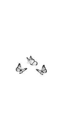 three butterflies flying in the air on a white background with black and white ink drawing