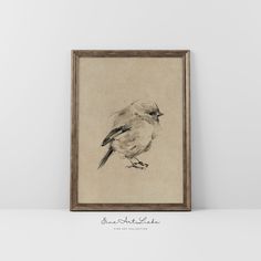 a small bird sitting on top of a white wall next to a framed photo in a wooden frame