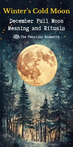 The December Full Moon, also known as the Cold Moon, brings a special kind of quiet magic. The final full moon of the year arrives at the beginning of winter’s stillness and illuminates dark winter nights. This lunar phase is filled with spiritual meaning and offers powerful energies for ritual, introspection, and seasonal intentions. Explore the correspondences of the December Full Moon, along with unique journal prompts designed to deepen your spiritual practice. Perfect for witches, pagans, and spiritual practitioners. Full Moon Gemini, Full Cold Moon, Full Moon Meaning, December Full Moon, Solstice Blessings, Full Moon In Gemini, Moon Worship, Pagan Lifestyle, Pagan Wheel Of The Year