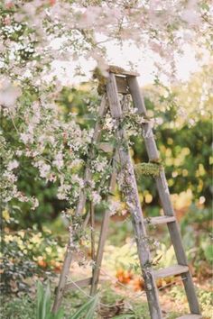 an old wooden ladder with flowers growing on it