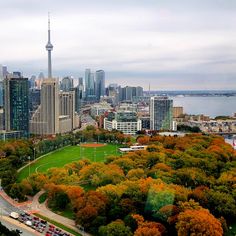 an aerial view of a city with tall buildings and lots of trees in the foreground