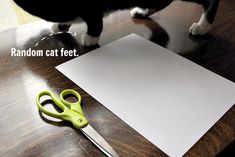 a black and white cat standing on top of a table next to a pair of scissors