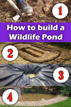 the steps to build a wildlife pond