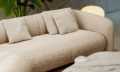 a couch with four pillows on it in front of a potted plant