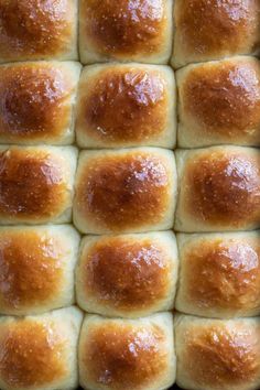 a close up of bread rolls in a pan