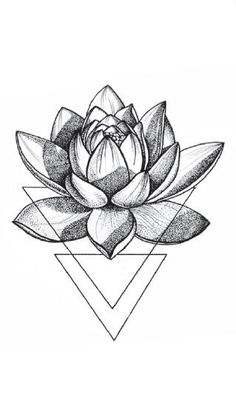 a drawing of a lotus flower on a white background