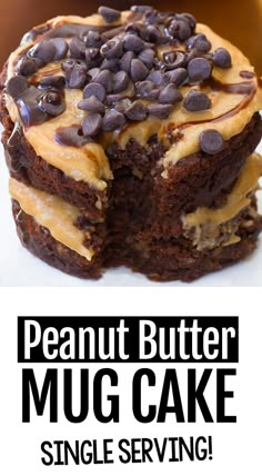 a close up of a cake with chocolate chips on top and the words peanut butter mug cake above it