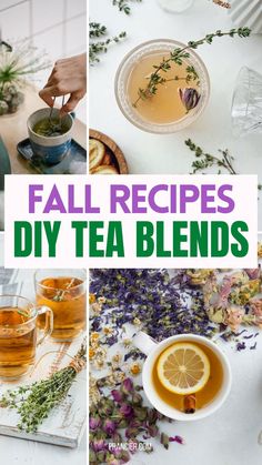 herbal teas Herbal Tea Blends Recipes, Diy Herbal Tea Blends, Diy Herbal Tea, Diy Herbal Remedies, Herbal Teas Recipes, Yummy Healthy Snacks