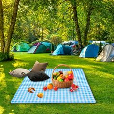 a picnic blanket on the ground with fruit and vegetables in front of tents set up for camping