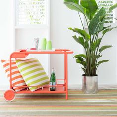 a green plant sitting on top of a metal cart