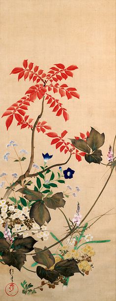 Autumn and Winter Flowers, by 酒井抱一 Sakai Hoitsu (1761–1828) Sakai Hoitsu, Rinpa School, Japanese Drawings, Japanese Flowers, Edo Period