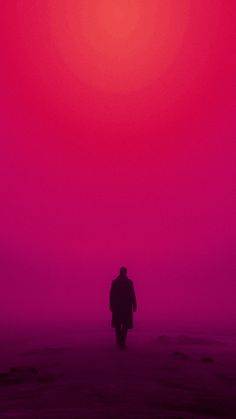 a person standing in front of a red and purple sky with the sun behind them