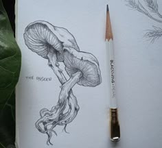 a pencil drawing of a mushroom on top of a piece of paper next to a plant