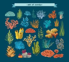 an underwater scene with corals, algae and other marine life on a blue background