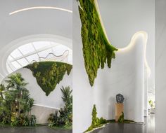 two photographs of the inside of a building with moss growing on the walls and ceiling