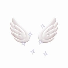 two white wings with silver stars on them