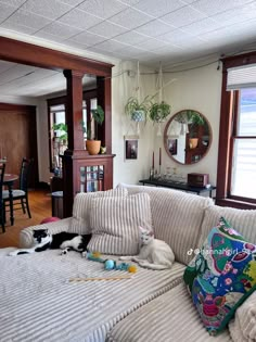 a cat laying on top of a couch in a living room