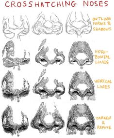 an image of cross hatching noses in various positions and sizes, including the nose