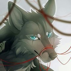 a wolf with blue eyes and red string in its mouth