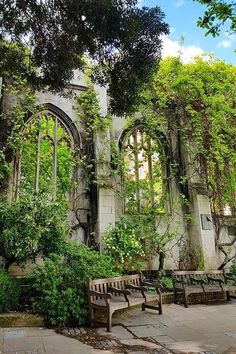 an old building with ivy growing all over it's walls and benches in the foreground