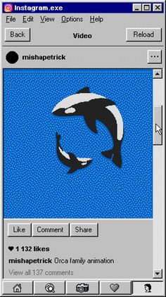 an image of two orca whales in the water with text overlaying it