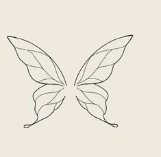 a line drawing of a butterfly's wings