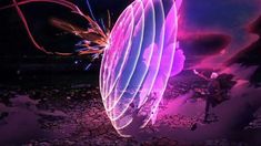 an abstract photograph of a butterfly in purple and pink colors with light streaks on it's wings