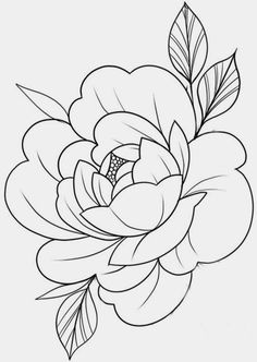 Peony Outline, Ear Tattoo Ideas, Flower Pattern Drawing, Mughal Art Paintings, Doodle Art Flowers, Flower Drawing Design, Flower Outline, Flower Sketches