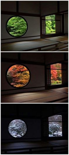 three circular windows with trees in them