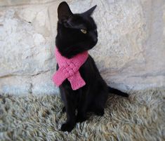 a black cat wearing a pink knitted scarf sitting in front of a rock wall