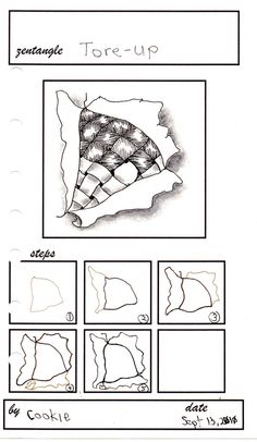 the instructions for how to draw a seashell