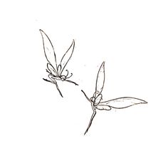 Fairy Doodle Tattoo, Fairy Sketch Tattoo, Fairy Doodle Aesthetic, Protect Peace Tattoo, Fairy Tattoo Collarbone, Tattoo Of Freedom, Dainty Dragon Fly Tattoo, Fairy Tattoo Shoulder, Fairy Tattoo Sketch