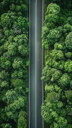 an aerial view of a road surrounded by trees