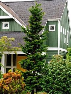 a green house with trees and bushes around it