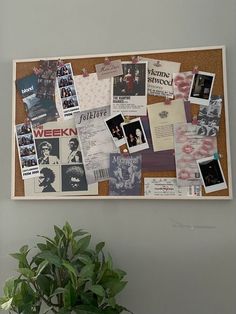 a bulletin board covered in pictures and papers next to a potted plant on a table