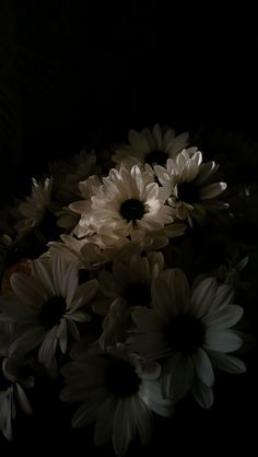 a bunch of flowers that are in the dark