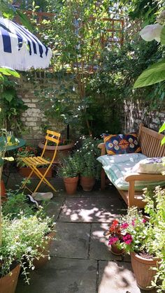 an outdoor patio with lots of plants and chairs