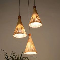 three lights hanging from the ceiling above a potted plant