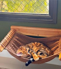 a cat is sleeping in a hammock by the window