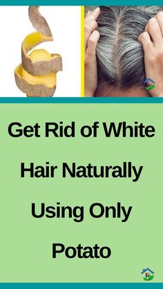 Can you believe that potatoes have a practical effect on white hair? It’s true! Potato is actually an effective solution for combating gray hair if used regularly. In this article, we’ll show you how to prepare and apply potatoes to fight premature graying. I- What you Will Need : – The peels of 5 potatoes. […] White Hair Solution, Remedy For White Hair, Potato For Skin, Diy Facial Hair Removal, Gray Hair Solutions, Grey Hair Remedies, Brighten Skin Naturally, Food For Kidney Health, Healthy Facts