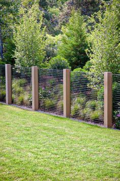 a fenced in area with grass and bushes