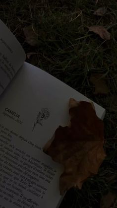 an open book laying on the ground next to some grass and fallen leaves in front of it