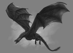 a black and white drawing of a dragon flying in the sky