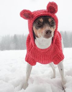 a small dog wearing a red knitted sweater and hat in the snow with it's ears sticking out