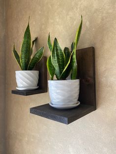 two potted plants sitting on top of wooden shelves