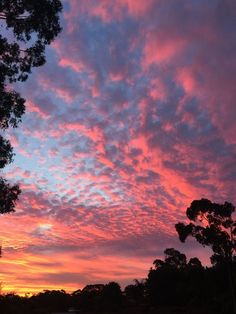 Australian Sunset, Sunset Sky Clouds, Pretty Sunsets, Sun View, Sunrise Pictures, Pretty Skies, Beautiful Ocean Pictures, Sky Pics, Sunset City