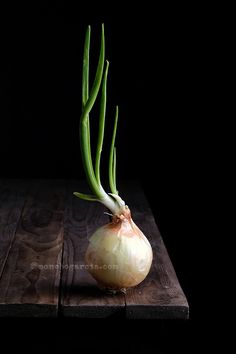 an onion on a wooden table with green stems sticking out of it's top