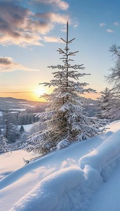 the sun is setting behind some trees in the snow